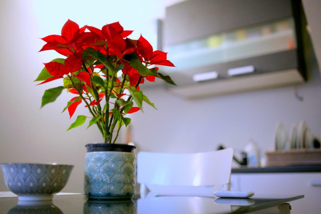 Studio Apartman - Park - Osijek Zewnętrze zdjęcie